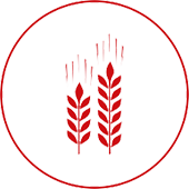 agriculture-icon agriculture-icon